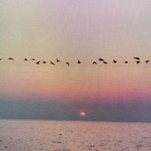 Meet your Posher, Malcolm